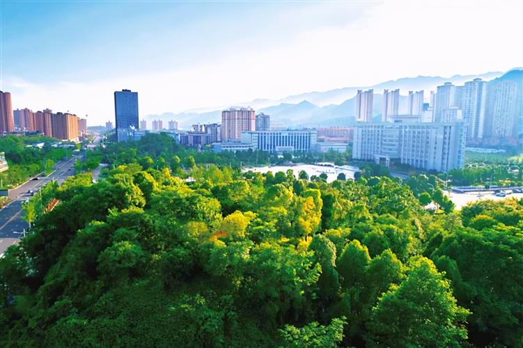 垫江网站建设指南，打造胜在脚下的一方