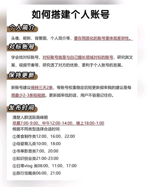 自媒体作者必看,网站建设时间表指南