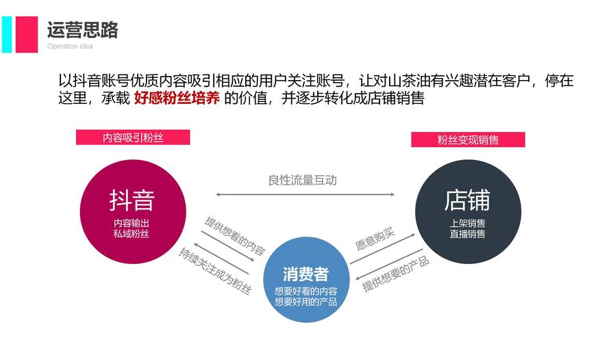如何在小红书与抖音实现内容营销,从优化到转化