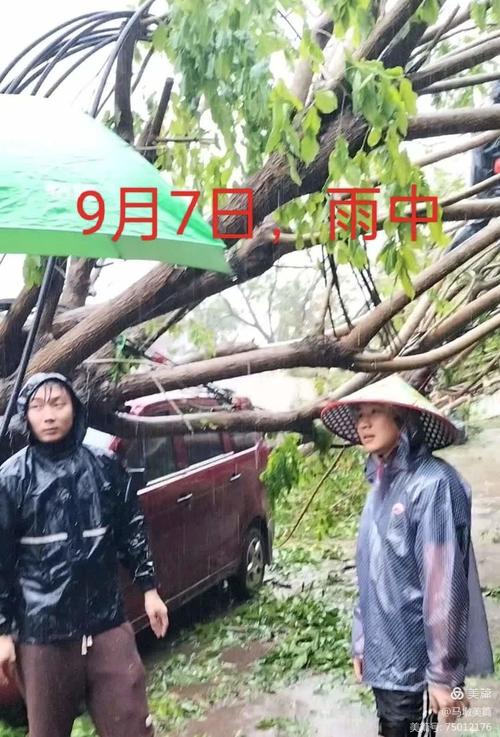 东海马墩疫情最新动态,影响及应对策略