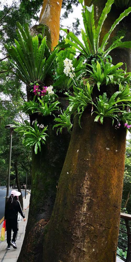 如何让上海南桥网站像春天般生机勃勃