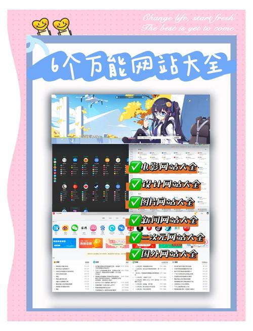 构建一个高效的论坛网站,从零开始的指南