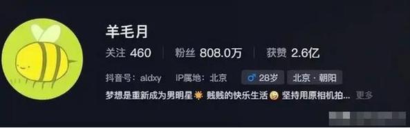 抖音完赞与dy买赞,让你的广告曝光更高效