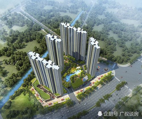 梅桥湖滩疫情最新动态,专家分析与应对策略