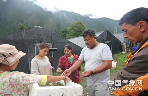 如何构建察隅网站