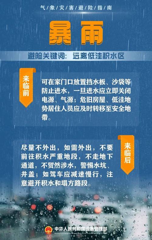 长江堤岸疫情最新消息，风险预警与防控指南