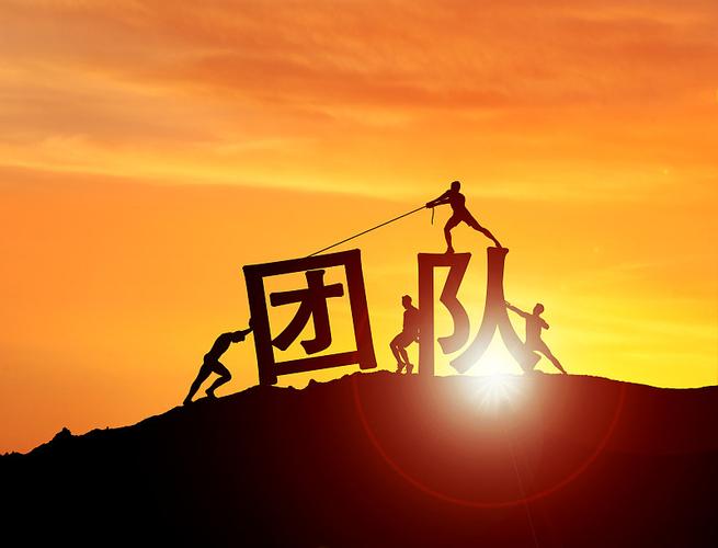 一、专业背景与团队实力