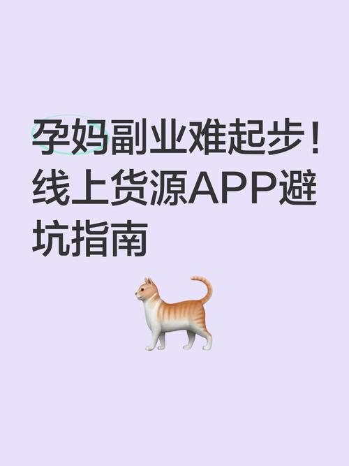 济南手掌网络,你的网络起步指南