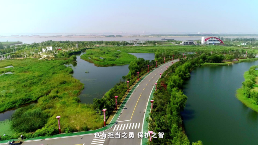 江苏泰兴，现代化建设的绿色星
