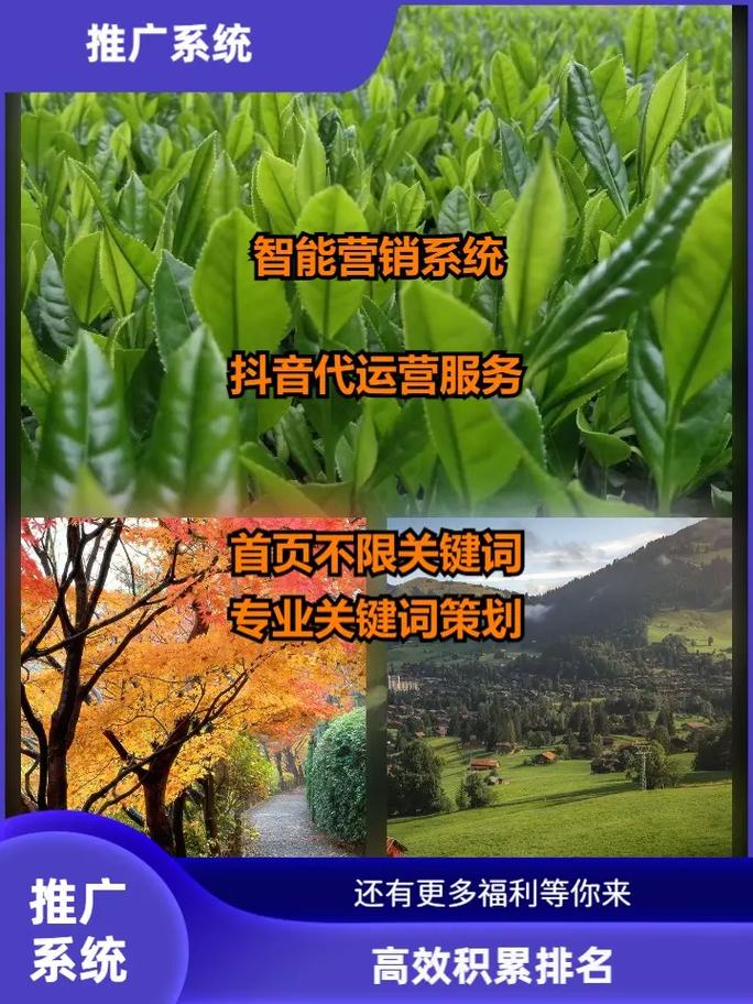 吉安网络推广，选择正确的方法，开启你的网络价值