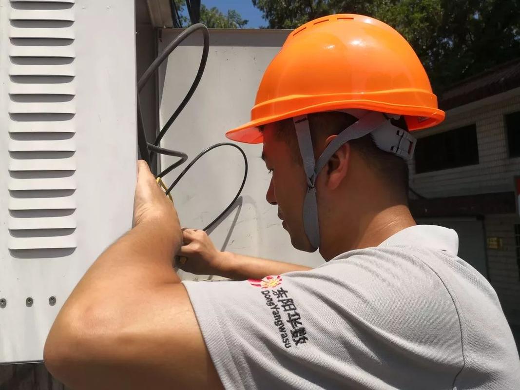 深入解析，东阳网络公司