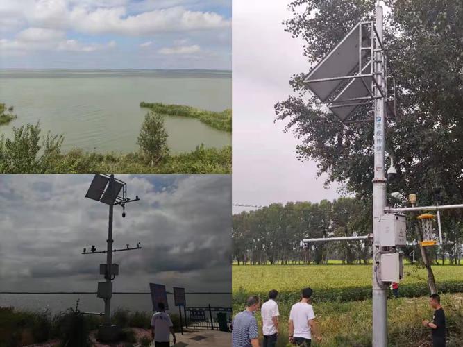 解读龙江网络公司，开启商业智慧新领域