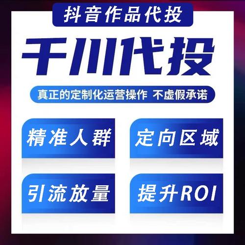 子轩代刷网 精准代购平台，抖音精准推广