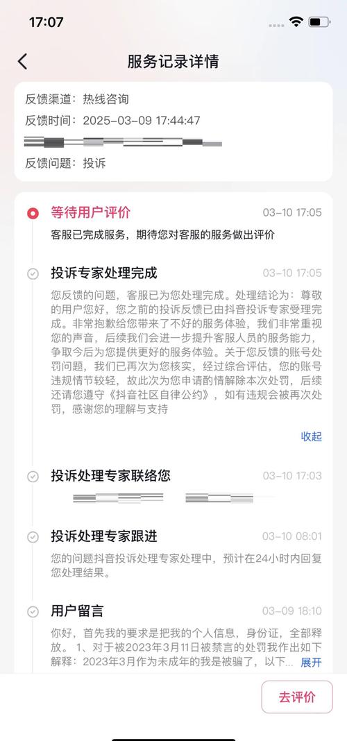 抖音双击异常问题指南