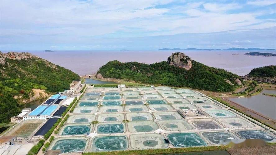 台州房产建站，本地化策略助力成功