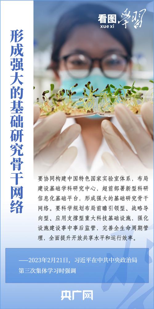 云南网站建设外包，从基础到成功之路