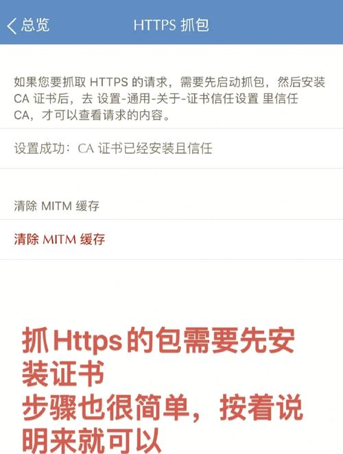 网红发红包秒刷双击系统，精准流量获取的高效工具