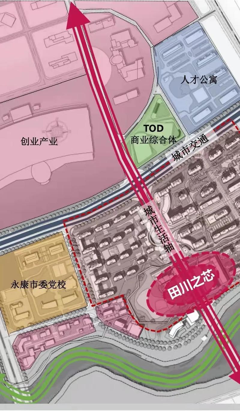 永康网络开发，从基础到未来