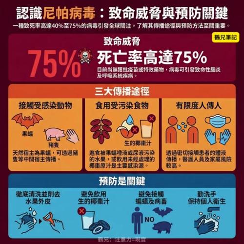 最新更新，新冠疫情的全球挑战与应对方案