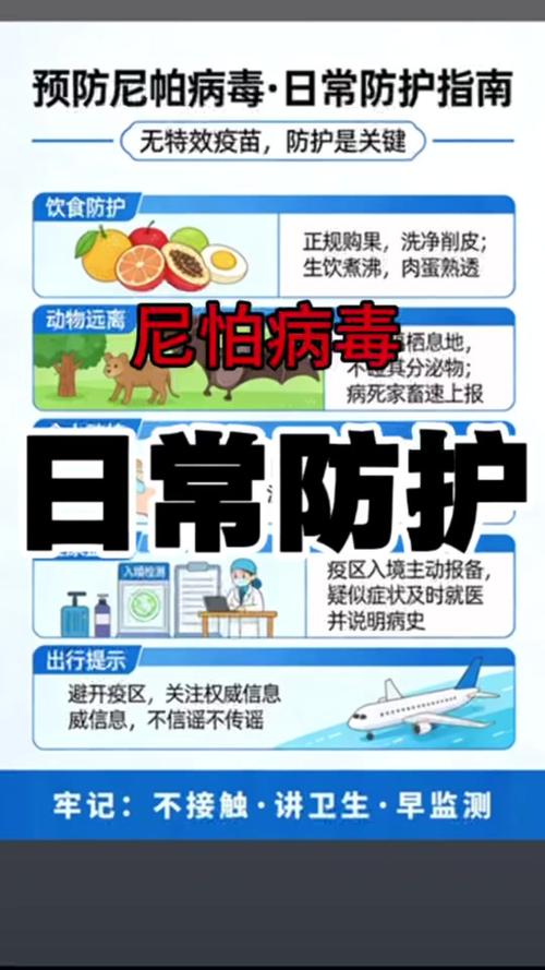 国际生态城疫情最新消息，全球疫情防控新挑战与应对策略