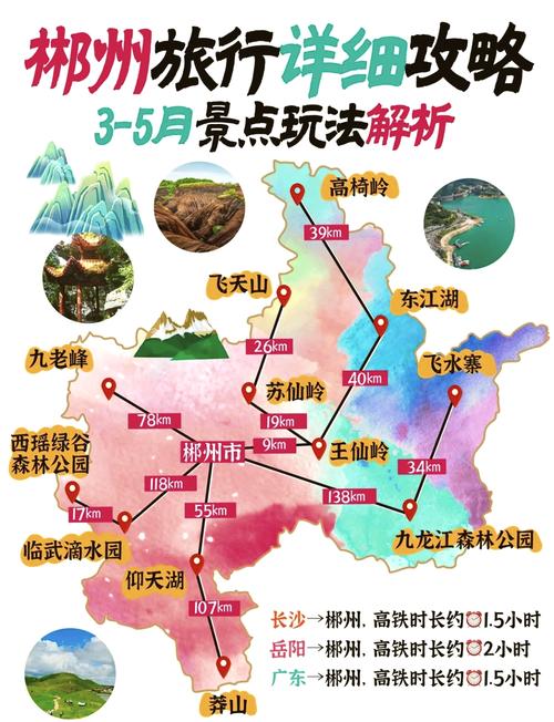 郴州网络优化指南