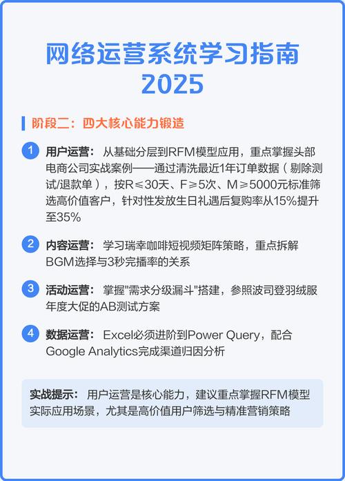 网络公司专业运营指南