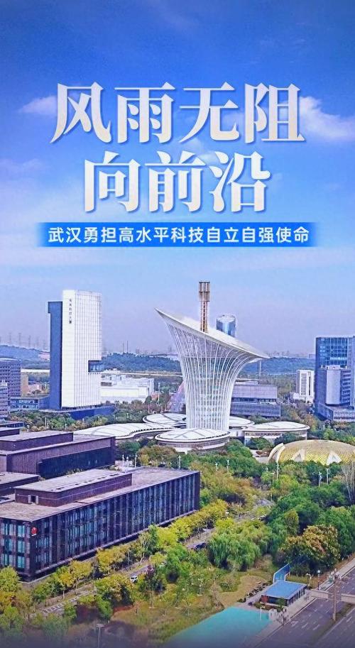 网络企业，武汉的未来，值得期待！