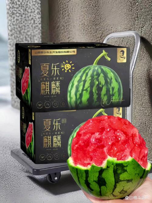 消费者推荐平台 西瓜自助涨粉平台