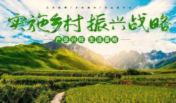 广西网络推广，助力乡村振兴