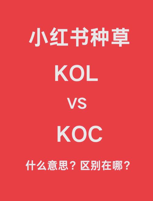 KOL们,为什么他们比你更了解你?