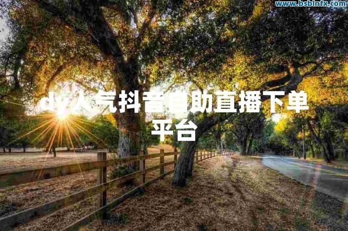 高效省钱 如何通过抖音平台实现自助下单