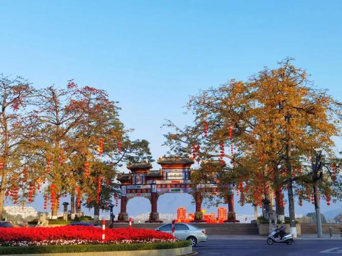 肇庆网站建设指南,助力数字肇庆,开启未来!