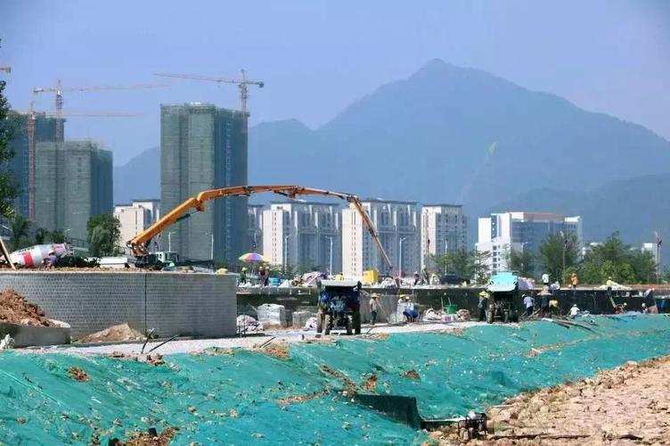 肇庆网站建设指南,助力数字肇庆,开启未来!