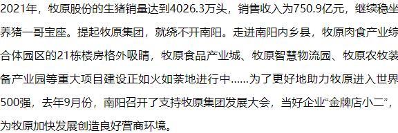 南阳美容网站建设指南