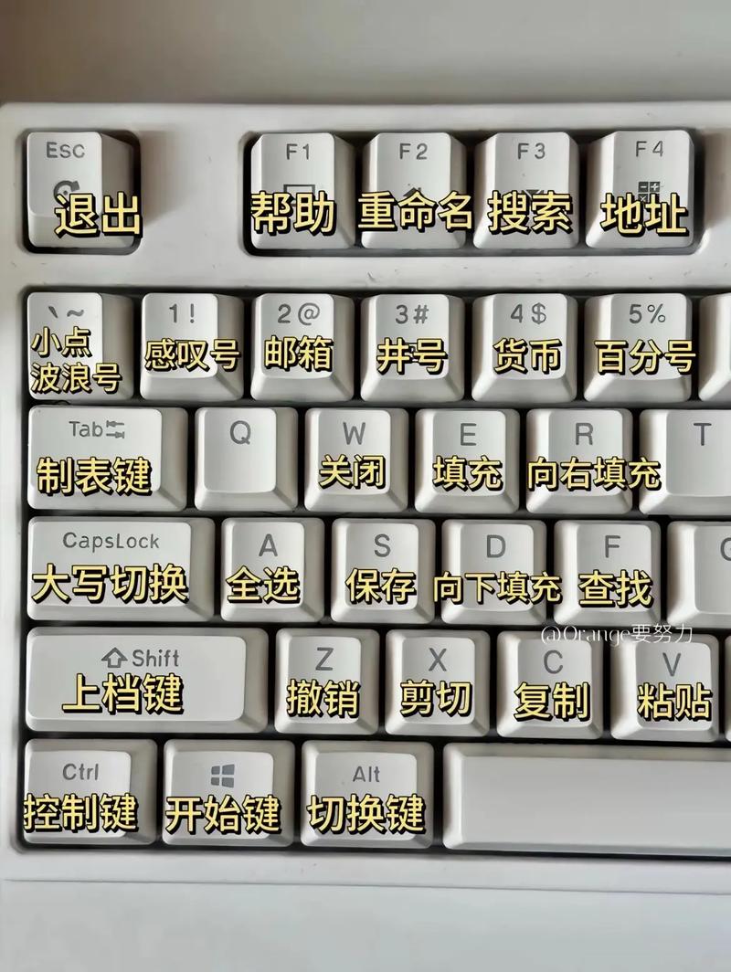 键盘大师的终极指南,从示意图到实际操作