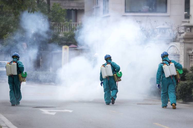 城市万荟,疫情最新消息全面解析
