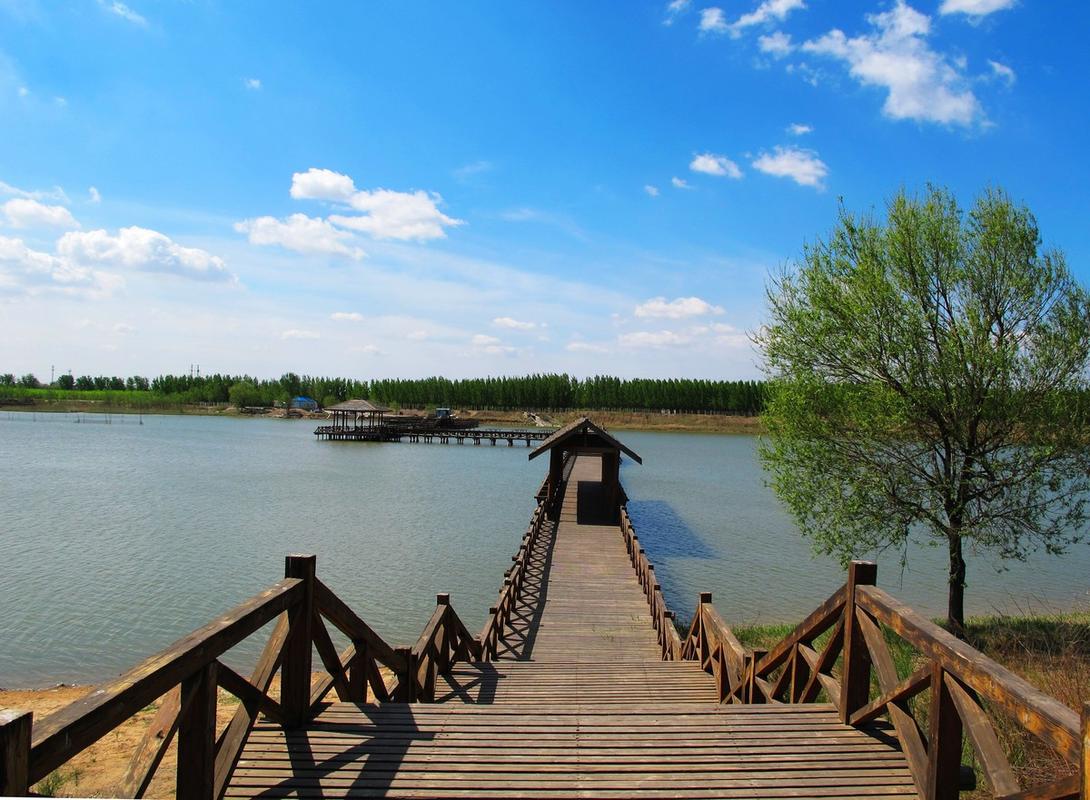 东营,旅游胜地,经济强区,市场价值全靠精准营销!