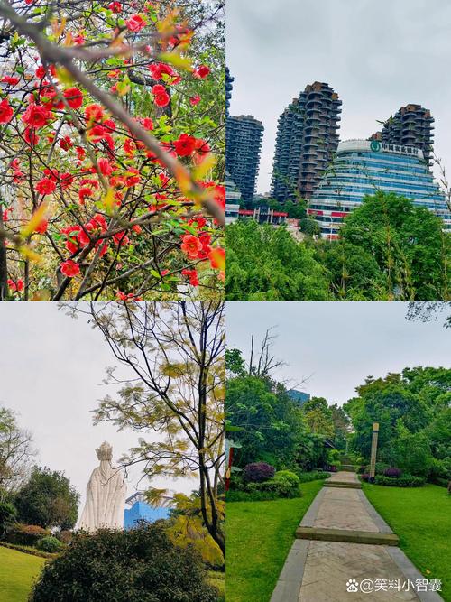 泸州网络营销指南,你的旅游 destination 转卖市场