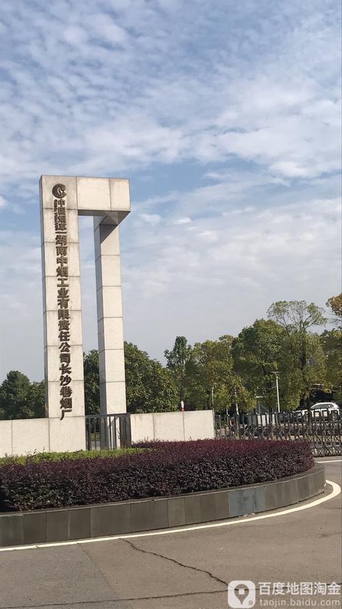 长沙网络公司,disrupt者之选