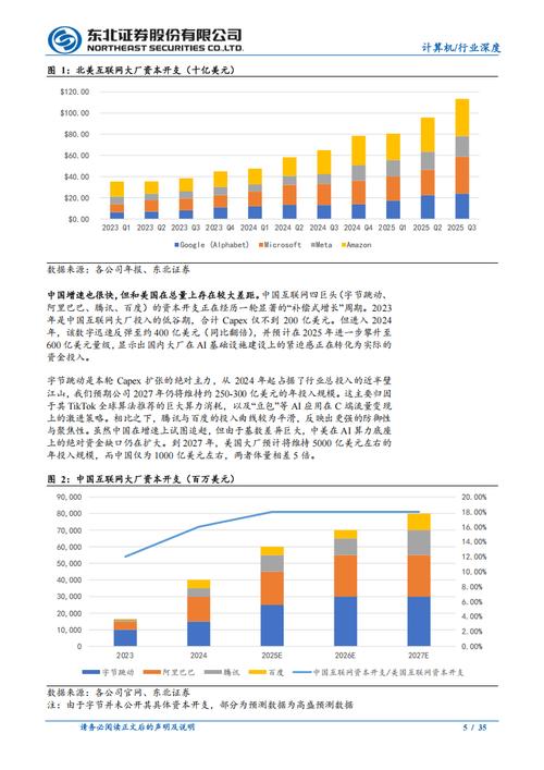 223年网络诊断行业,专业公司的崛起与竞争分析