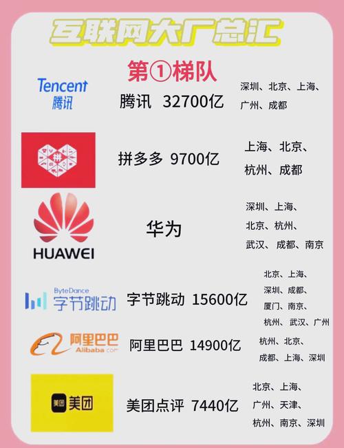 邯郸市网络公司的行业地位