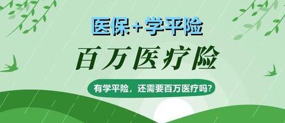 引言,互联网时代,免费自助与低价业务的挑战与机遇