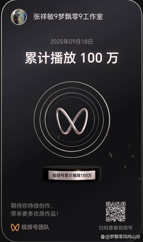 抖音播放数量指南，高效播放，避免重复播放
