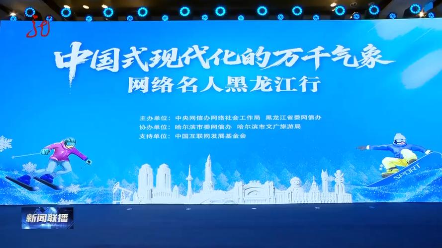 哈尔滨市网络公司,互联网时代的见证者与受益者