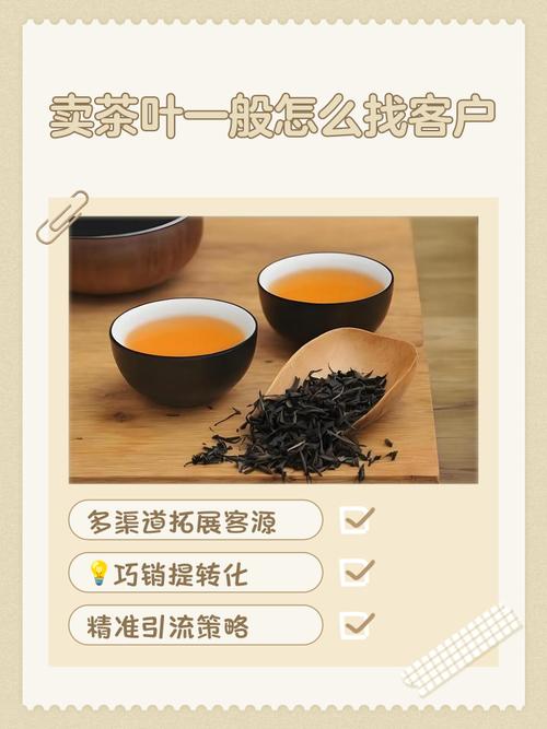如何构建普洱茶网站,打造品牌形象,提升销售