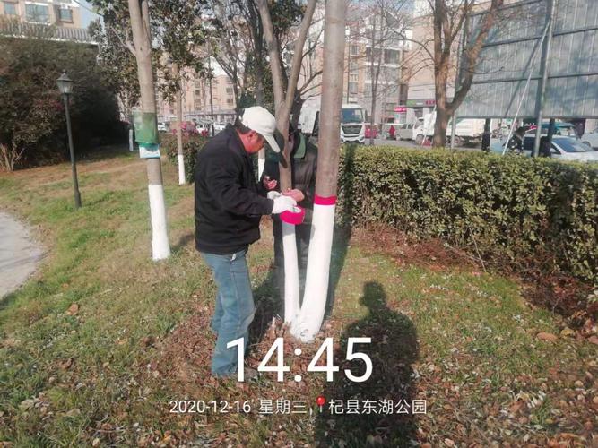 杞县东湖疫情最新消息,防控指南与建议