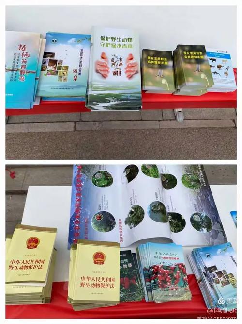 西安网络优化指南,助力精准流量突破