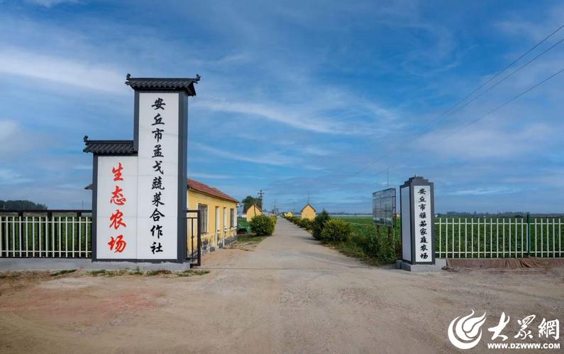 安丘网络推广效果,市场趋势与优化策略