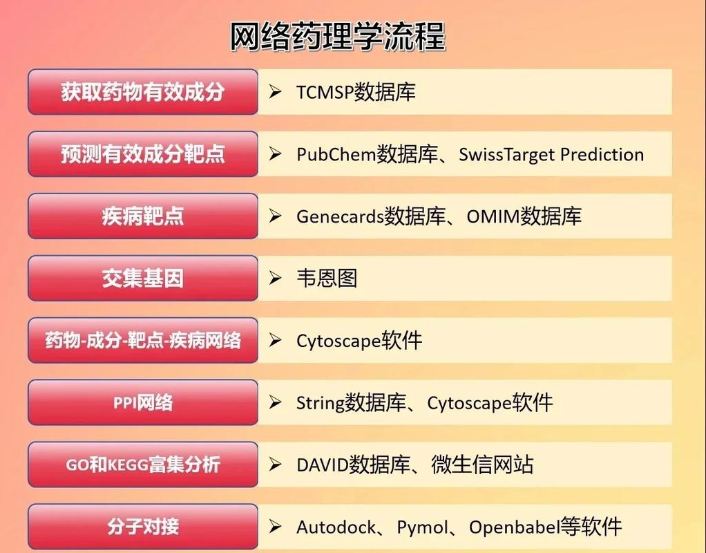 制作网络程序的全步骤指南