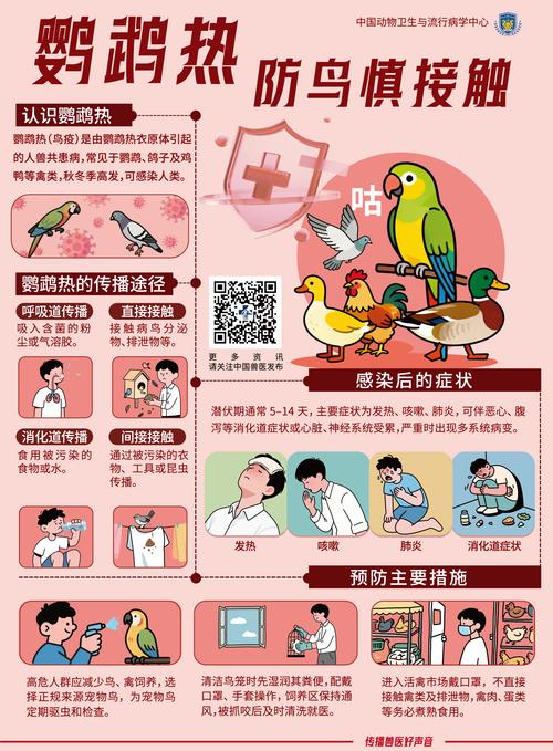 北京兴安疫情最新动态，防控措施如何应对？
